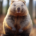 Wichtel-News - Tag des Wombats