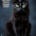 Wichtel-News - Tag der schwarzen Katze